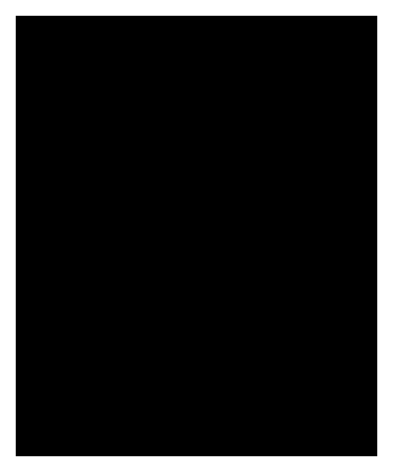 panconi Fensterfolie schwarz Vorschau